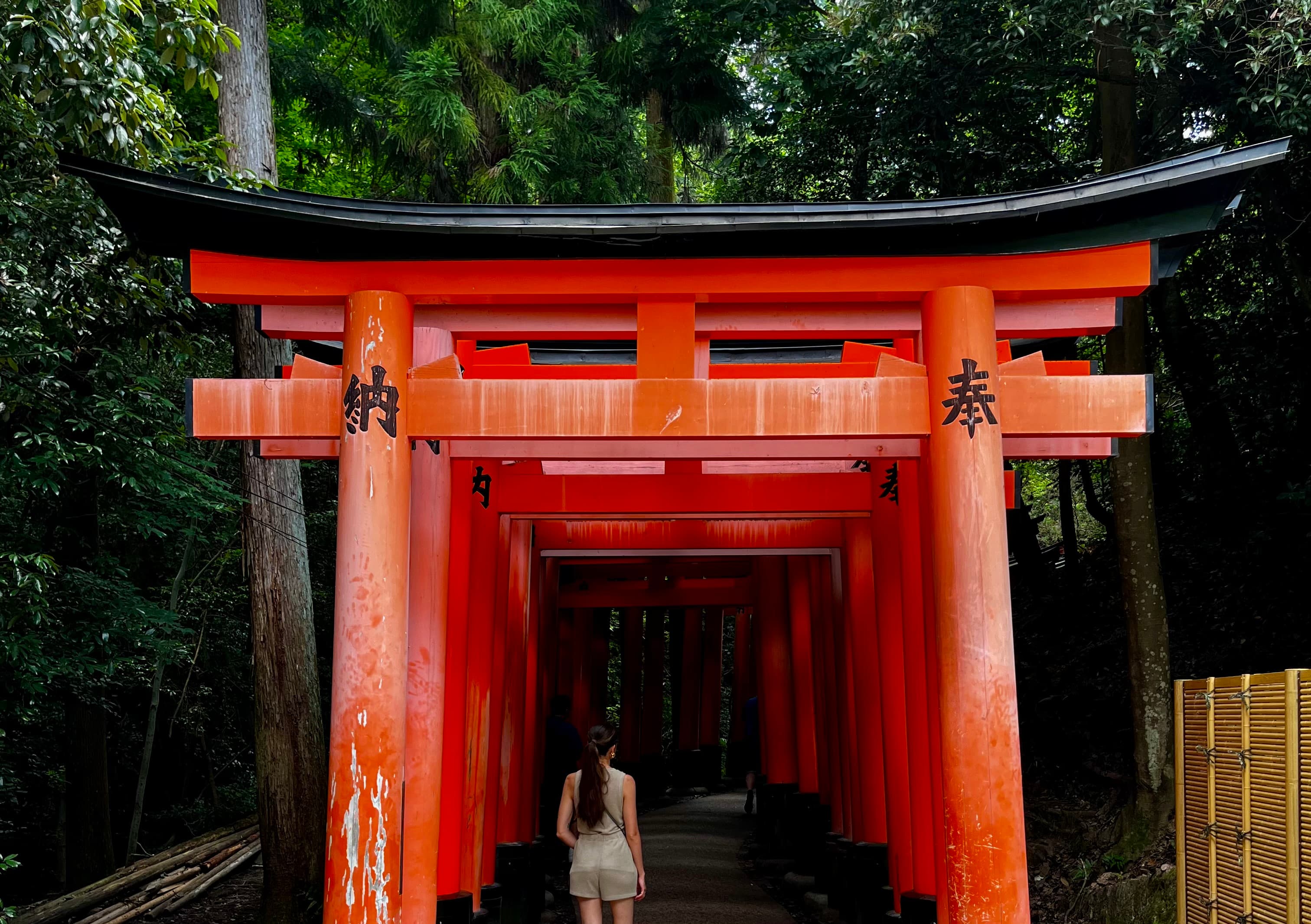 Cover Image for Japón 2023